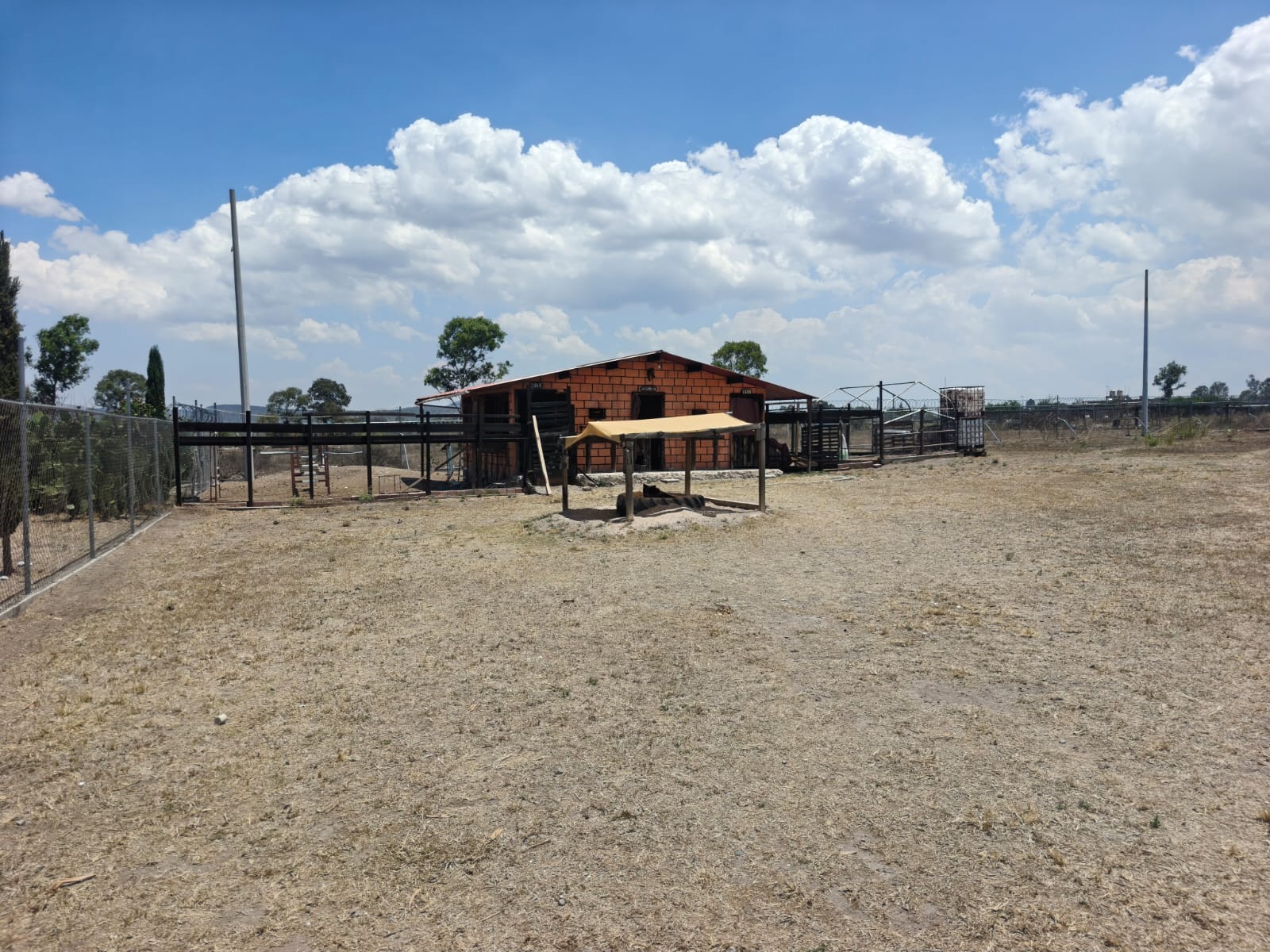 Fachada de pension canina operando en Rancho Gava