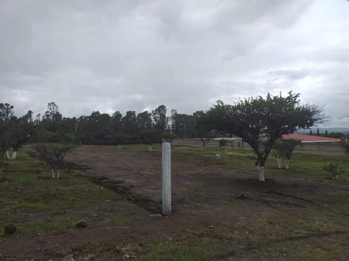 Predios con factibilidad de servicios de agua y luz.