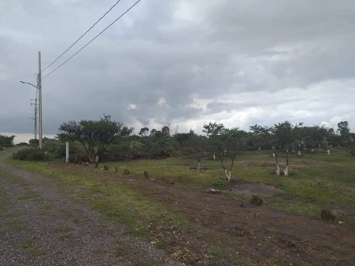 Superficie lista para desarrollo de cabañas o casas de campo.